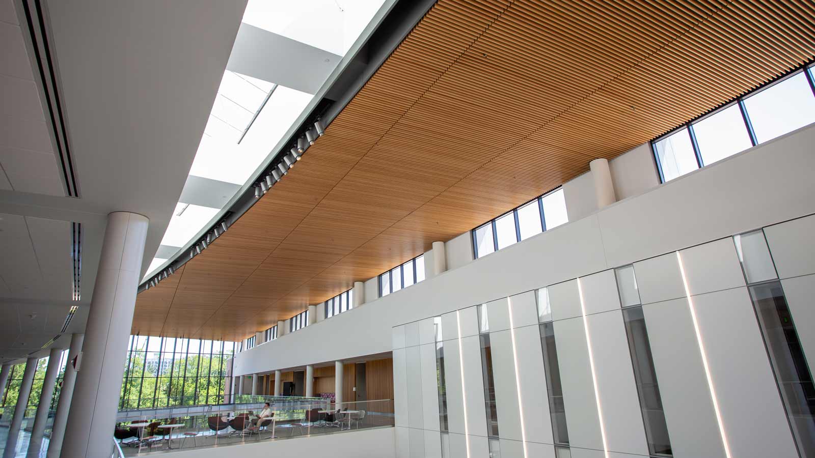 Interior ceiling of the Minskoff Pavilion
