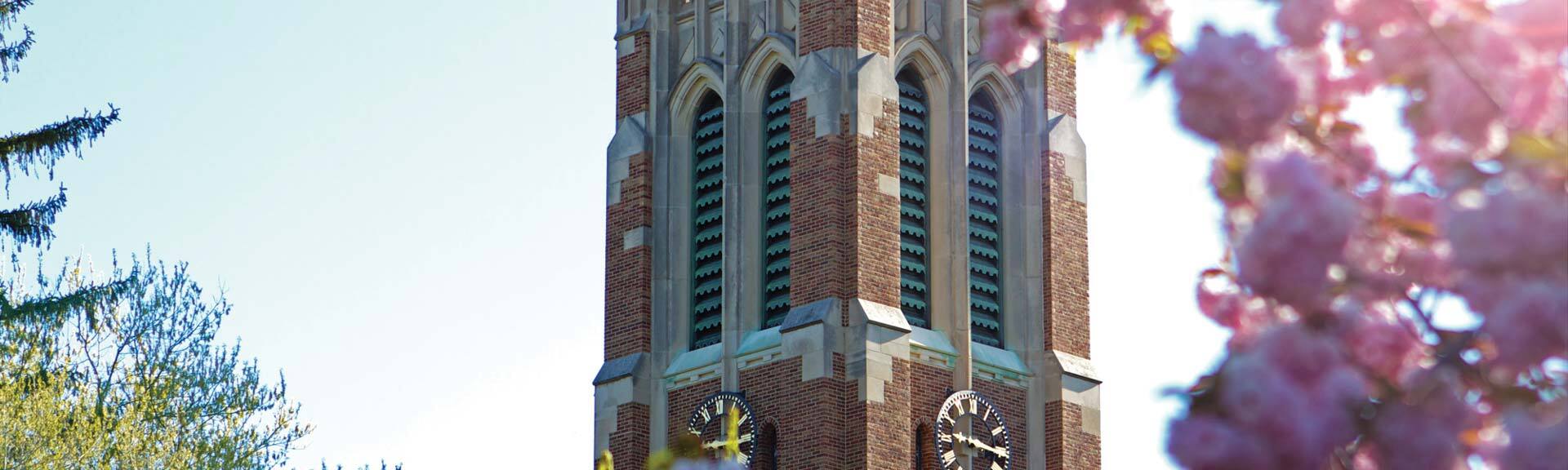 MSU's Beaumont Tower as seen through flowering trees in spring