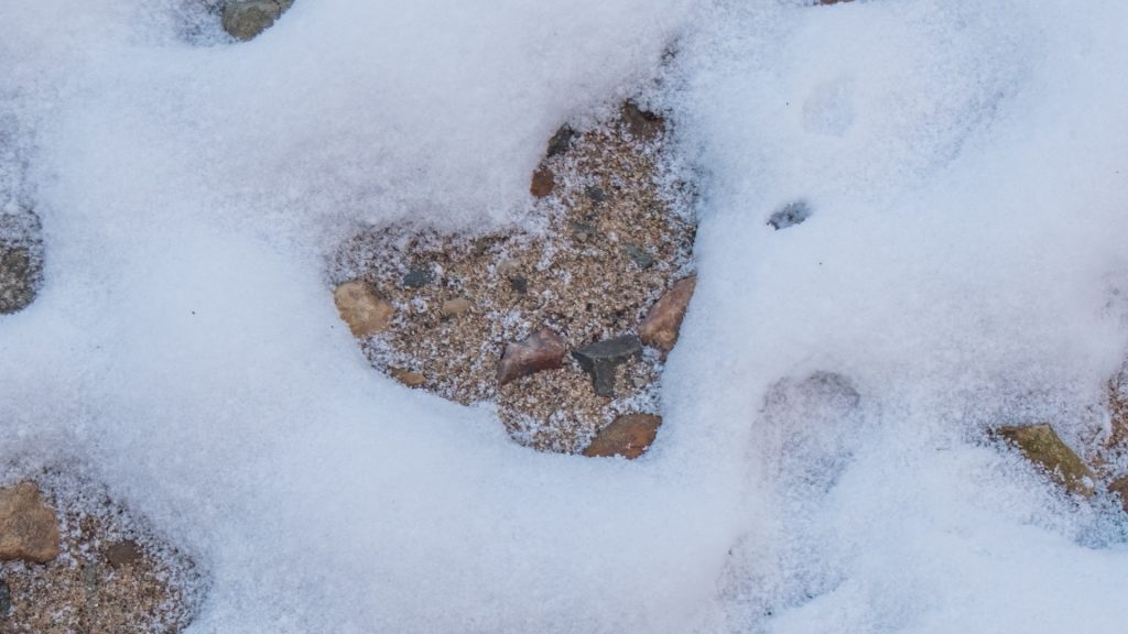 Broad MBA Alumni Andrew and Kendra Rice Parlock reflect on the development of their love and personal careers.