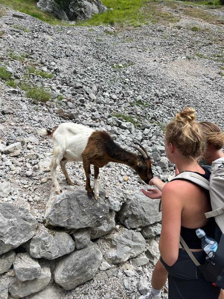 Lauren Searle in Northern Spain feeding a goat