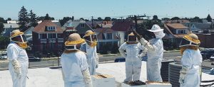 Bon Bon Bon partnered with Bees in the D to install beehives on the roof of its Detroit factory to produce its own honey.