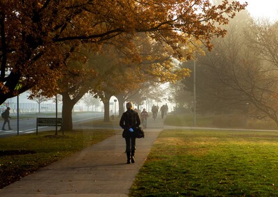 MSU Photography Services: Students &emdash; 20121121DLT_2098